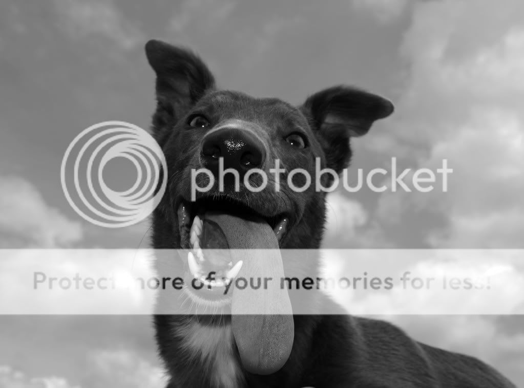 Stick1blackandwhite.jpg