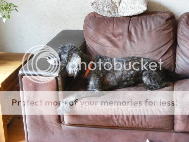 DSCF0034.jpg