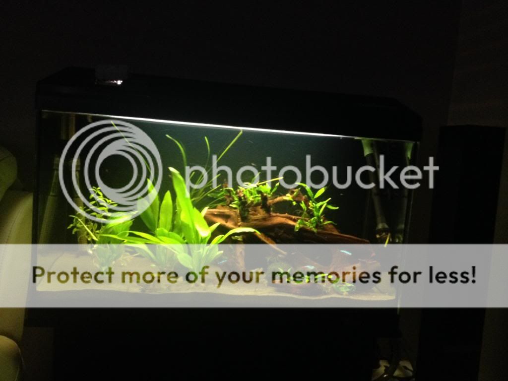Posted Image
