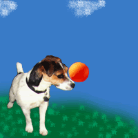 th_dog.gif